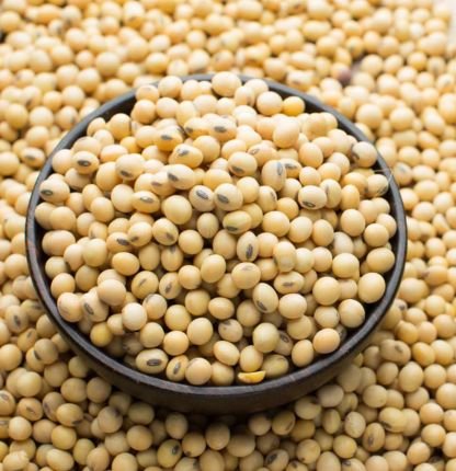 Soya Beans